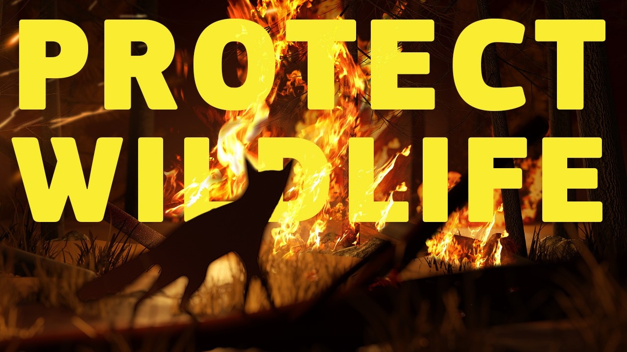The protection of wild species in the EU