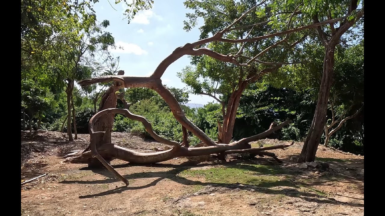 PRATC - Playa India - Aguadilla 2025