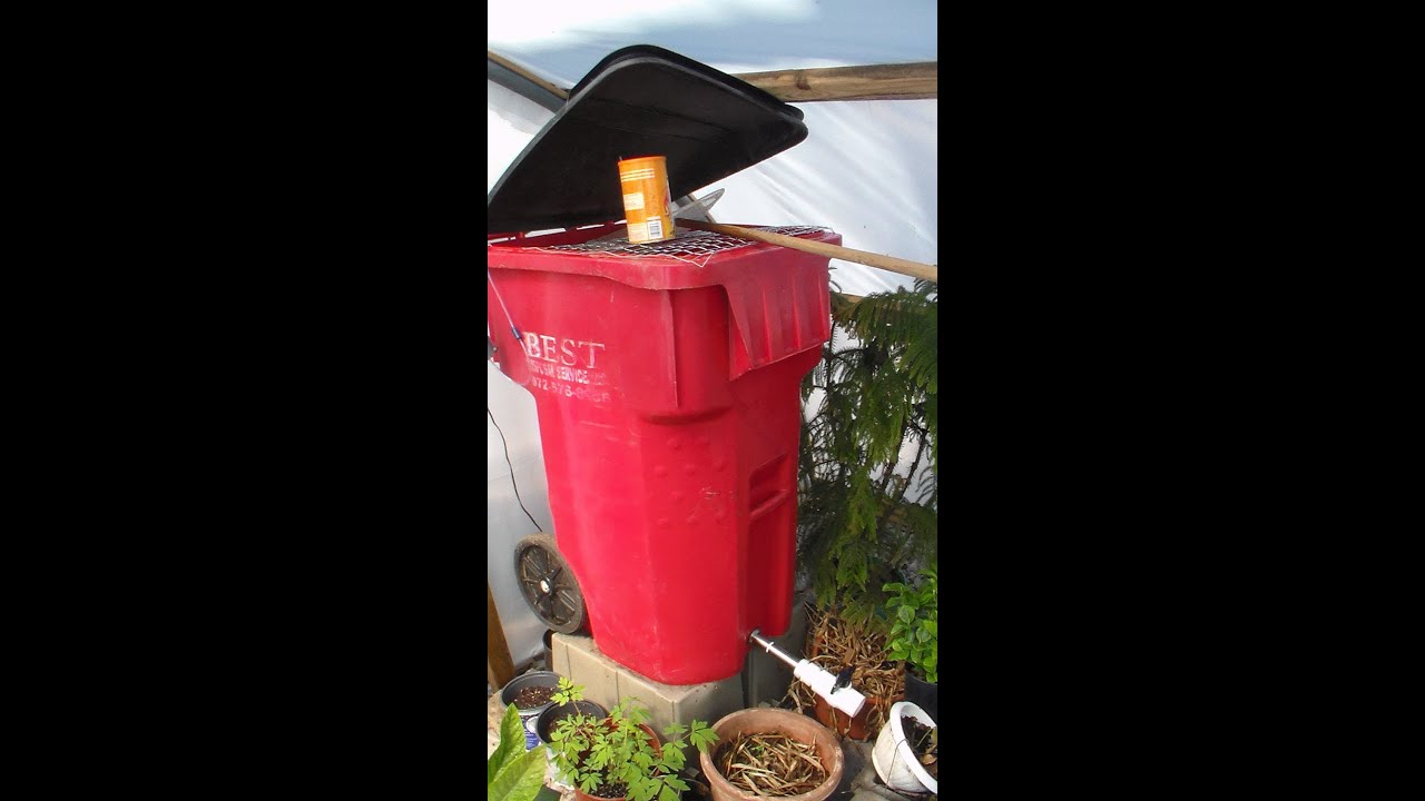 Trash Can Fish Tank, Free Fish Fertilizer