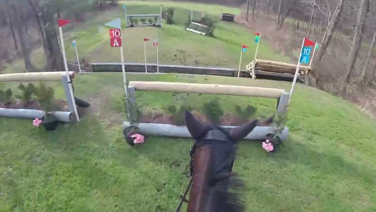 GoPro: Tullymurry Fifi (CCI 3* -S | 2024 Carolina In'tl CCI & Horse Trials)