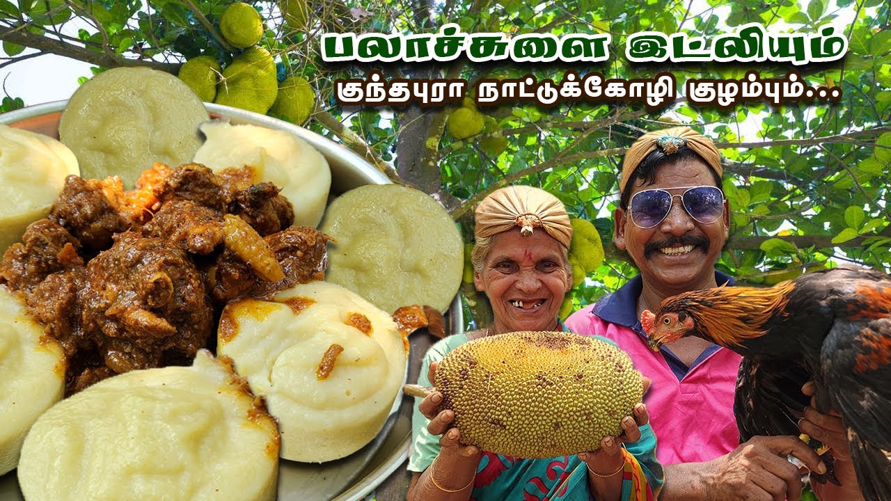 K2K -Epi -25 | பலாச்சுளை இட்லியும் ,குந்தபுரா நாட்டுக்கோழி குழம்பு | Jack fruit Idly & Chicken Gravy