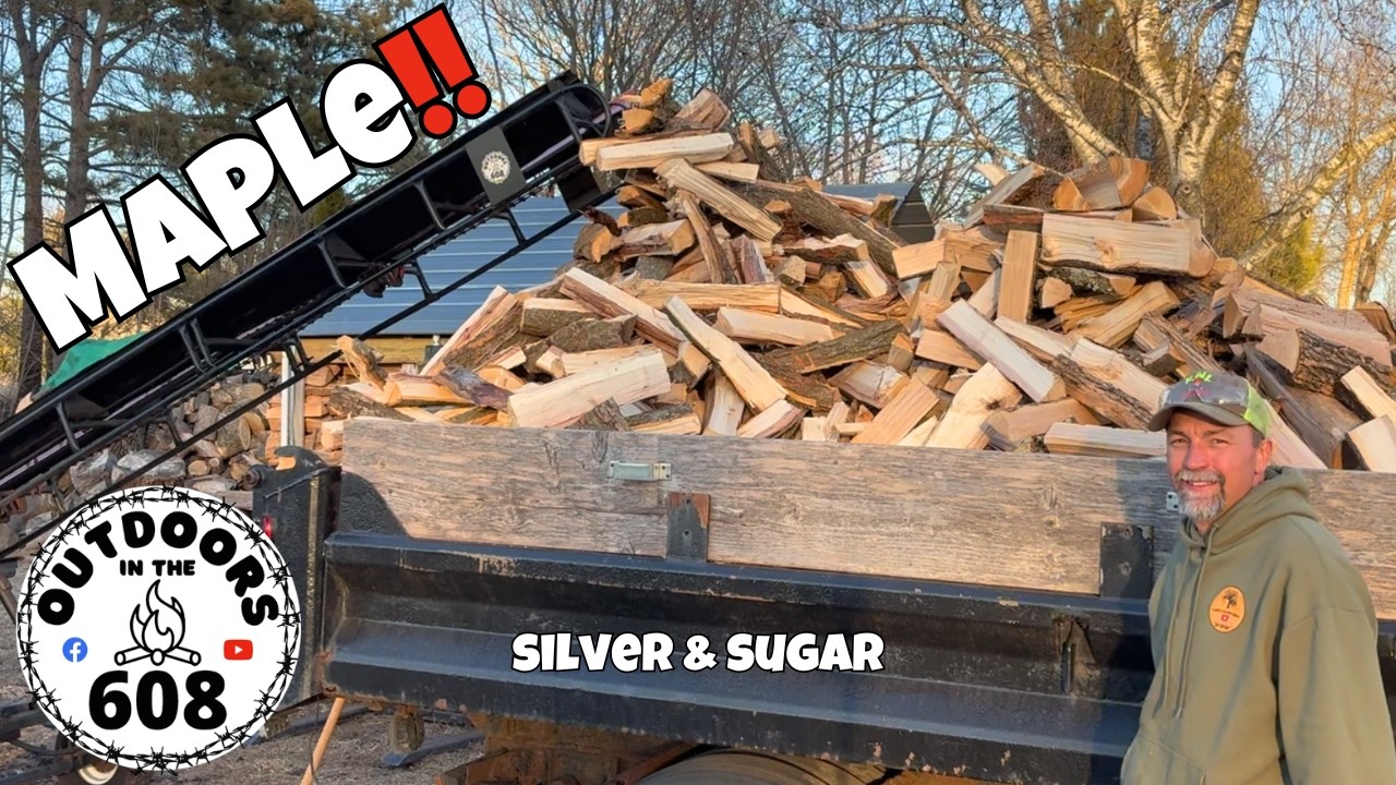 Easy Splitting Maple‼️ | Wolfe Ridge 22 RS