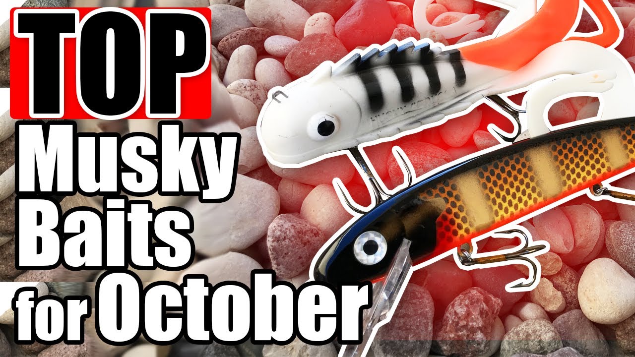 Top Musky Baits for October