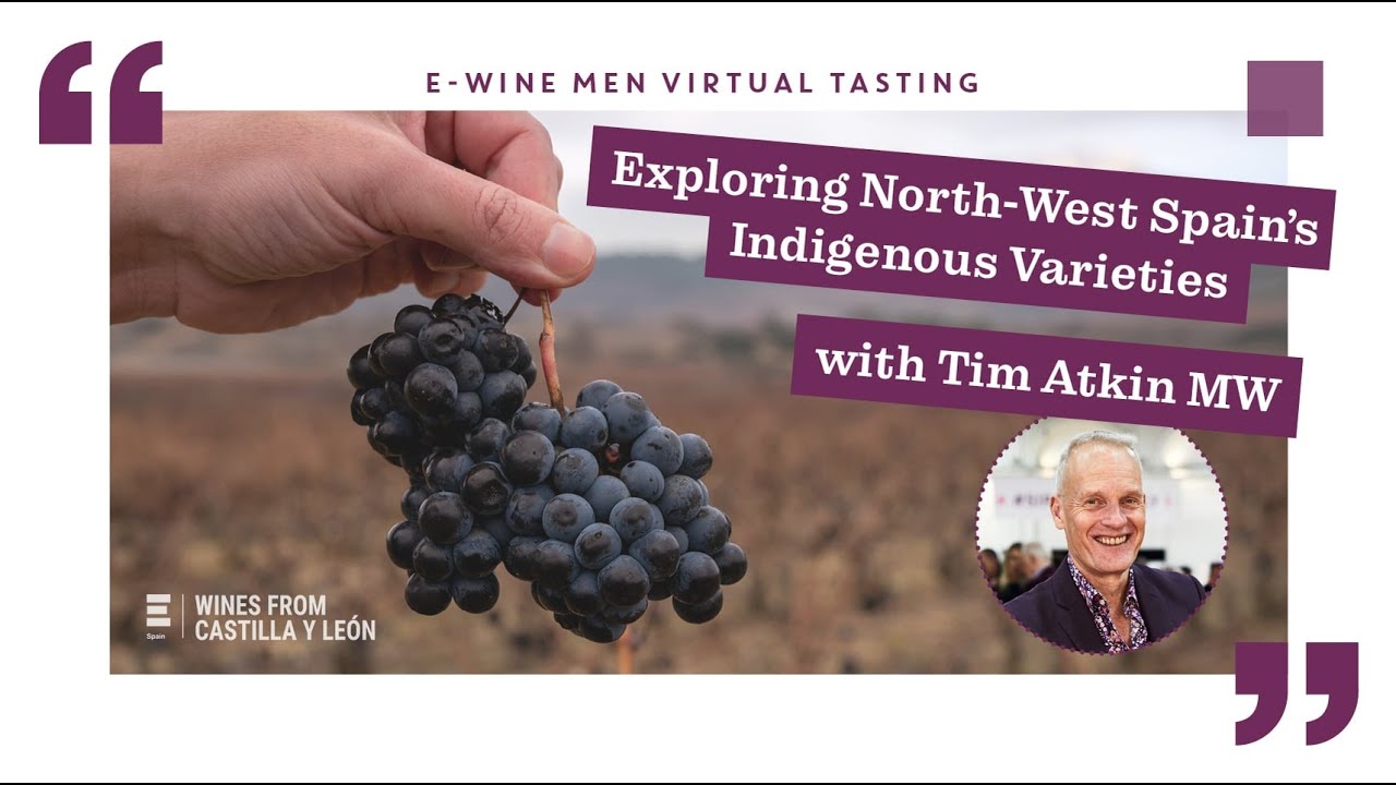 Tim Atkin MW: Indigenous Varieties from NW Spain
