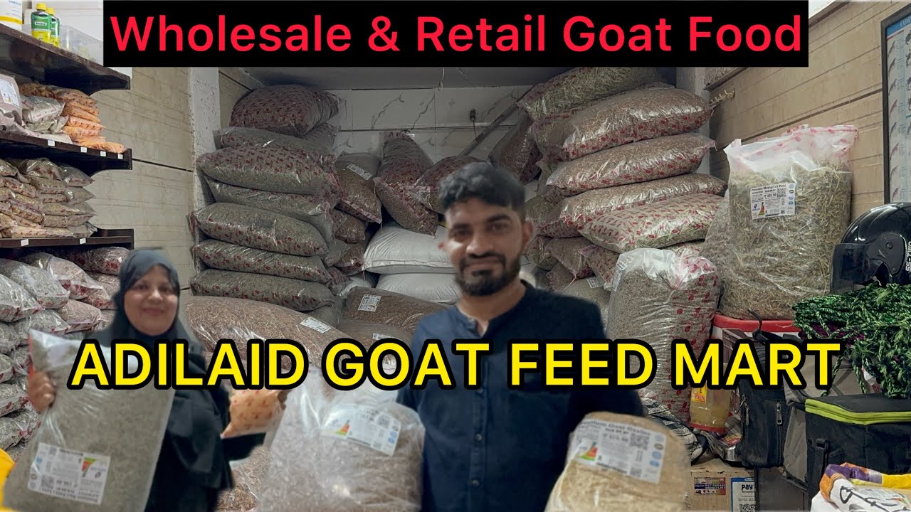 Mumbai Biggest Goat Feed |Complete Goat Feed & Diet |Sub Se Sasta Bakre Ka Khana |Goat DR In Mumbai