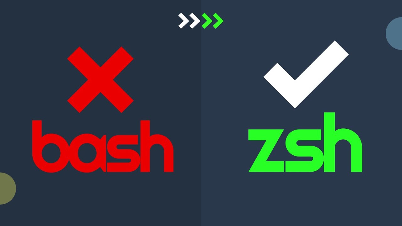 Zsh: Оболочка мечты разработчика! Попрощайтесь с Bash! 💻✨
