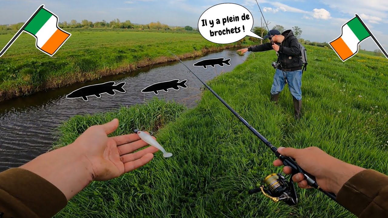 On explore une PETITE RIVIÈRE de la CAMPAGNE IRLANDAISE à la recherche du BROCHET !