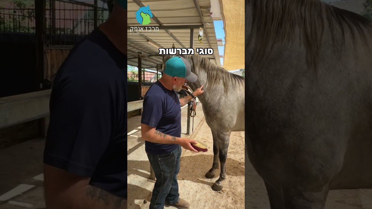 הברשה וסוגי מברשות