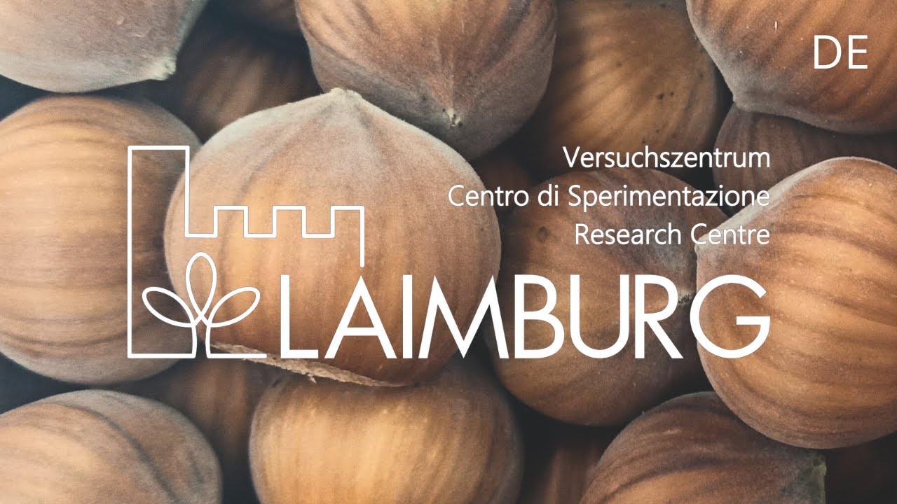 Campus | Haselnussanbau in Südtirol