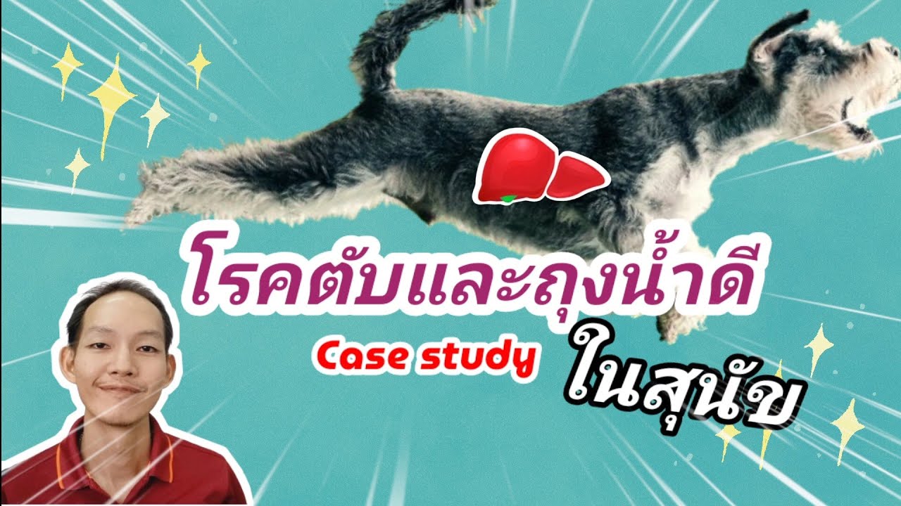 โรคตับและถุงน้ำดีในสุนัข case study@หมอดี๊ด๊า