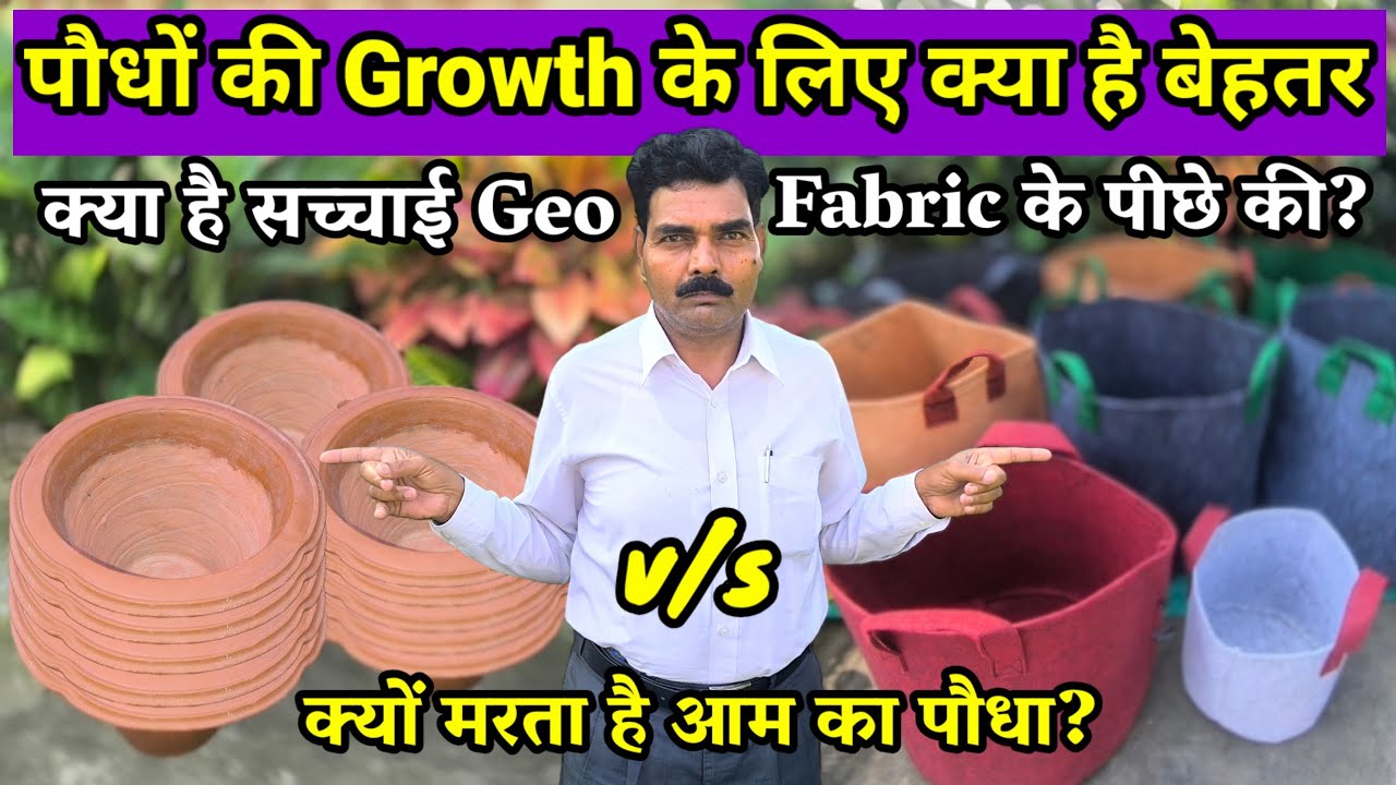 पौधों की Growth के लिए क्या है बेहतर Grow Bag या गमला? | गमला vs Grow Bag