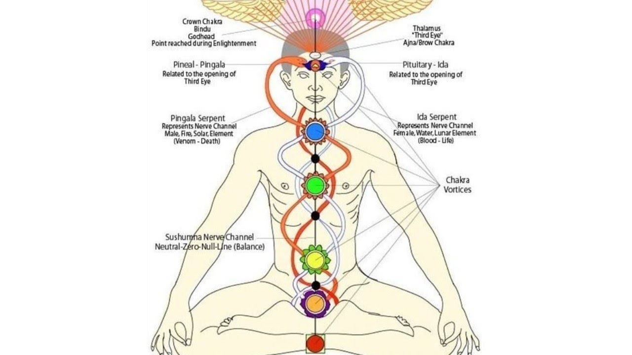 What is Nadi? | Ida | Pingala | Sushumna | Nadi | Brahma Nadi | Kundalini |