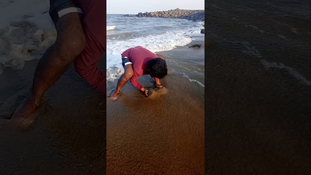 Catching Mole Crab's with Empty Hand #fishing #fishingvideos #thoondilulagam #seafishing