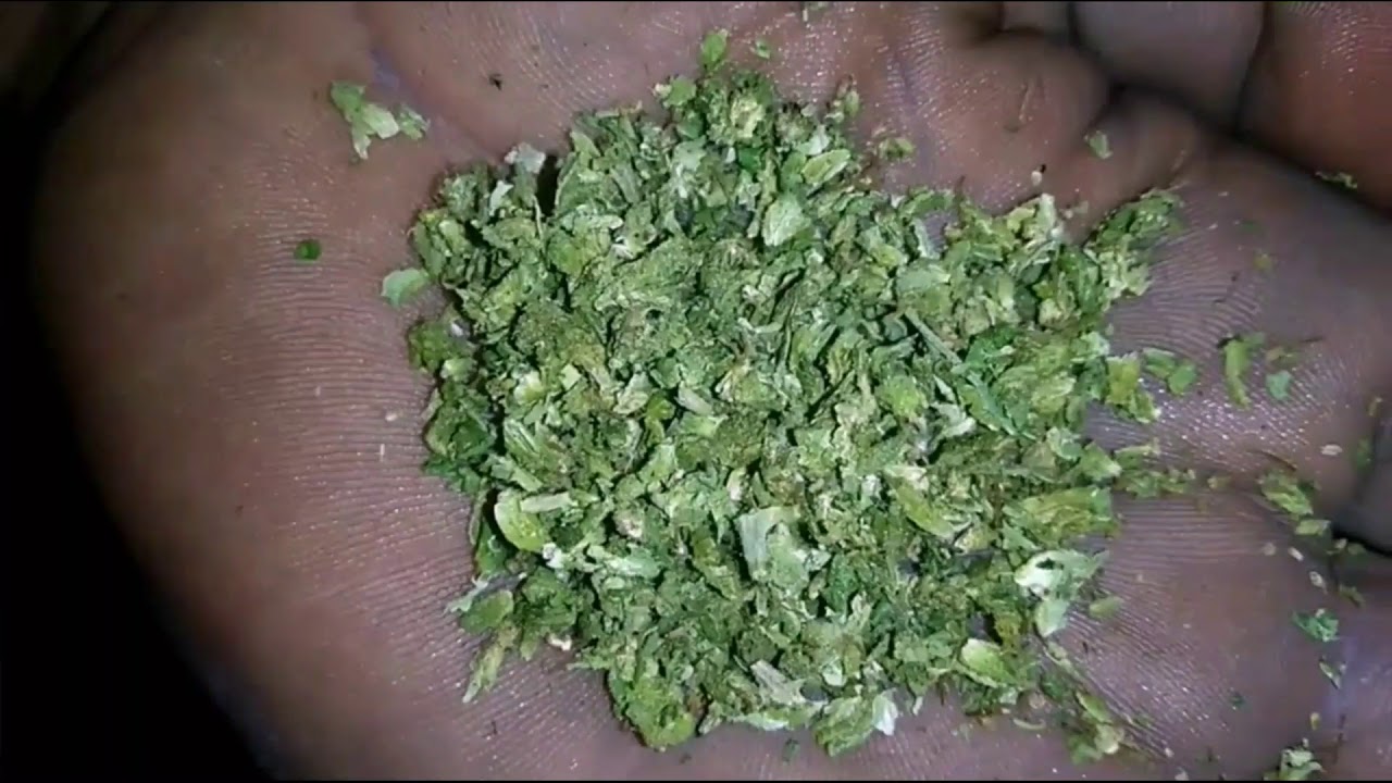 Una noche con Weedstar