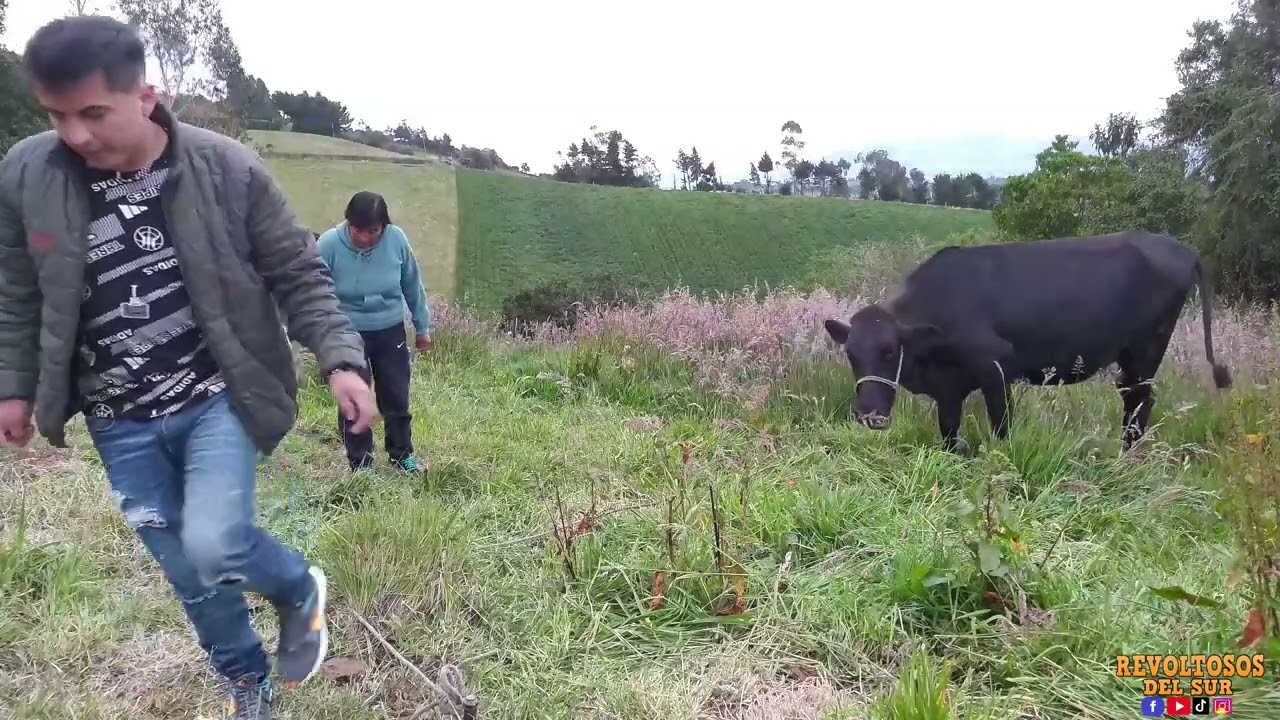 Cuando haces un negocio a medias