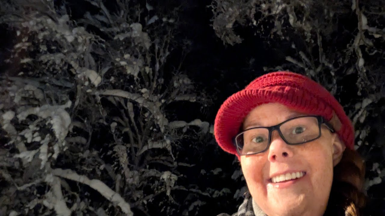 Hunting For Moose Tracks