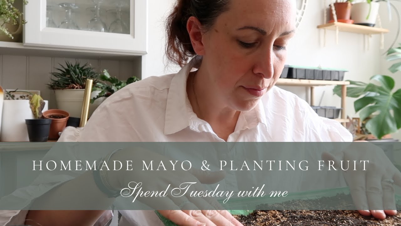 Making Mayo & Planting Raspberries