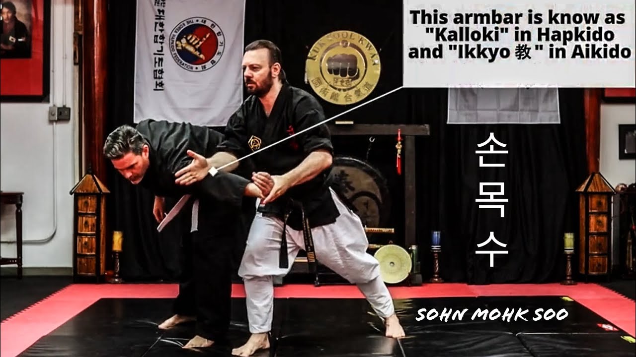 Kuk Sool Kwan Introductory Hapkido | Sohn Mok Soo  손목수