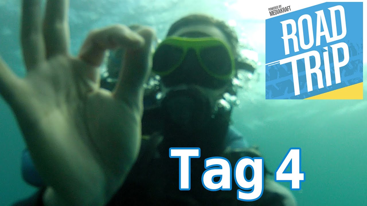 Tauchen. Diven. Beides! | #ROADTR7P Tag 4 | hallodri