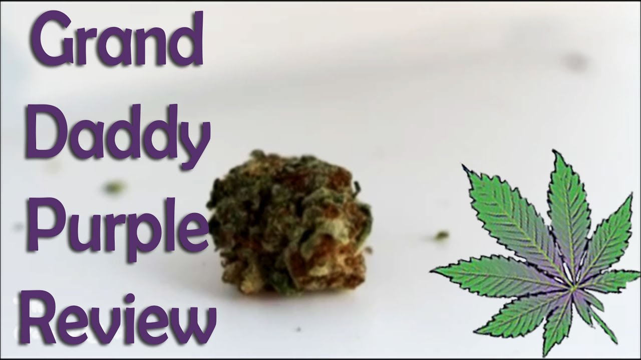 Granddaddy Purple - Strain Review