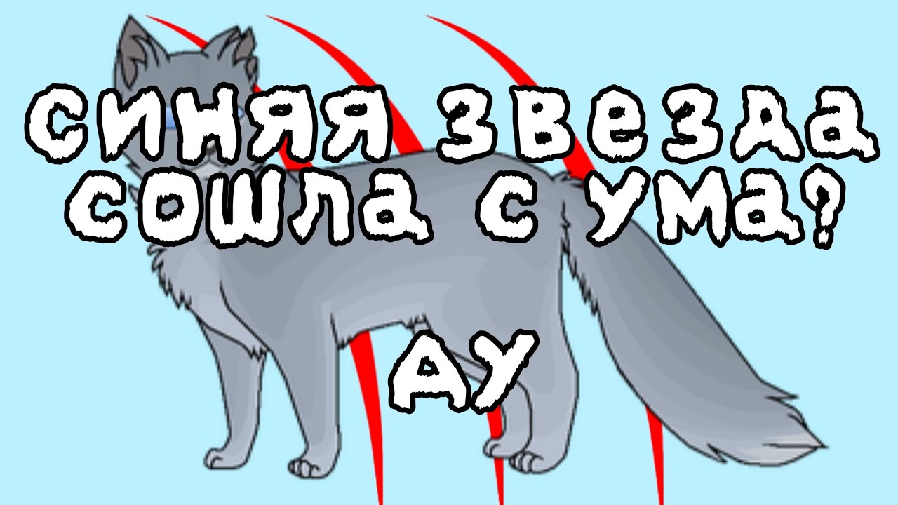 Синяя Звезда сошла с ума?! АУ КВ