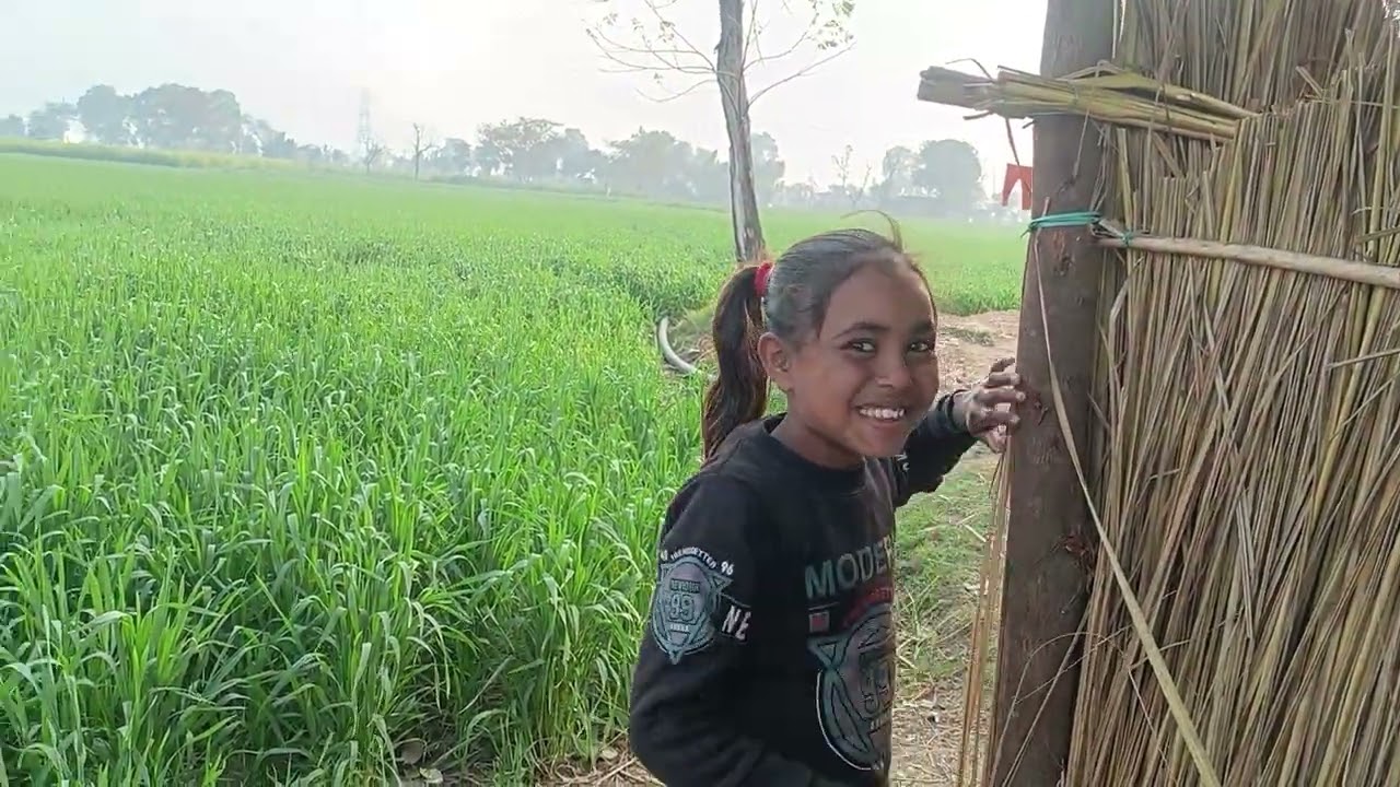 खेतों में बनाई है प्यारी सी झोपड़ी और देखो जी खेतों के नजारे प्यारे प्यारे। 🌿🎉🌻#my New volge #😃👍