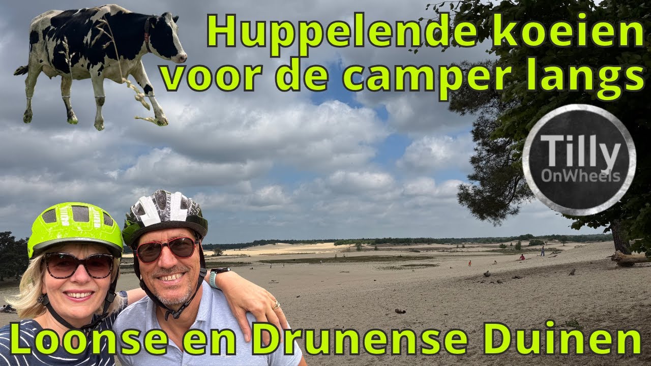 Loonse en Drunense Duinen, op Camperplaats De Raamhoeve