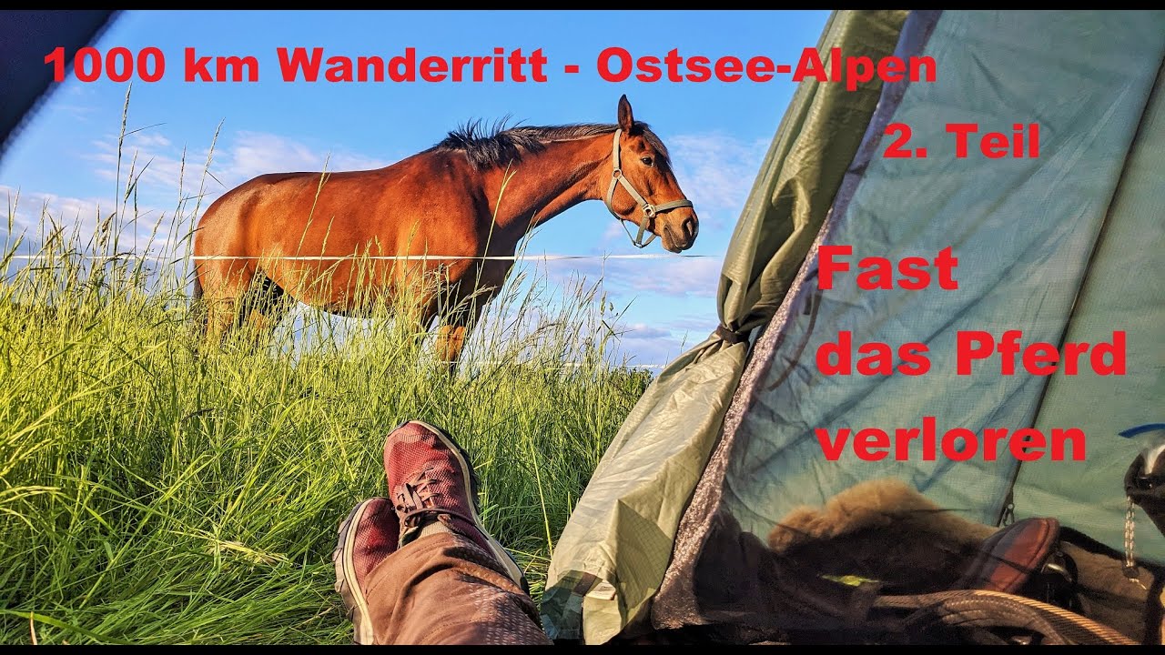 Wanderritt Doku 1000 km von der Ostsee in die Alpen| Folge 2 - Fast das Pferd verloren !