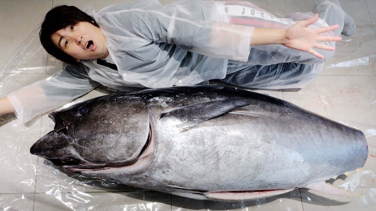 【過去最大】100キロの天然マグロさばいてみた。