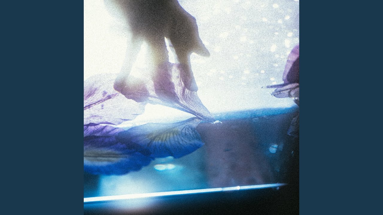 iris (instrumental)