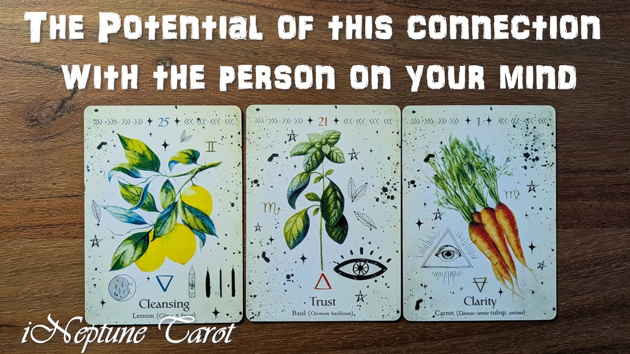 ✨WHAT IS THE POTENTIAL BETWEEN YOU AND THE PERSON ON YOUR MIND? 🧠💖Timeless Pick a Card Tarot Reading