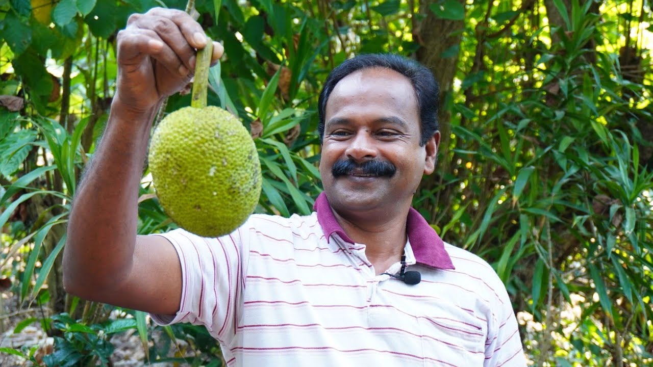 തനി നാടൻ കടച്ചക്ക കൊണ്ട് ഇങ്ങനെ ഒന്നുണ്ടാക്കി നോക്കു 😋 | Kadachakka Peralan | Village Spices