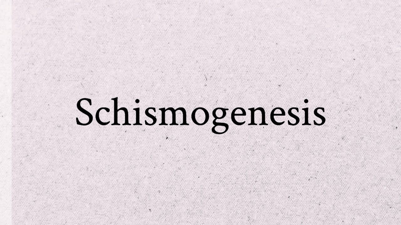 Schismogenesis: Why We Keep Dividing&mdash;and How to Stop