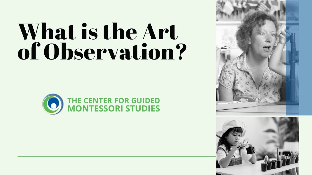 Why The Art of Observation is SO Important | Montessori Points of Interest