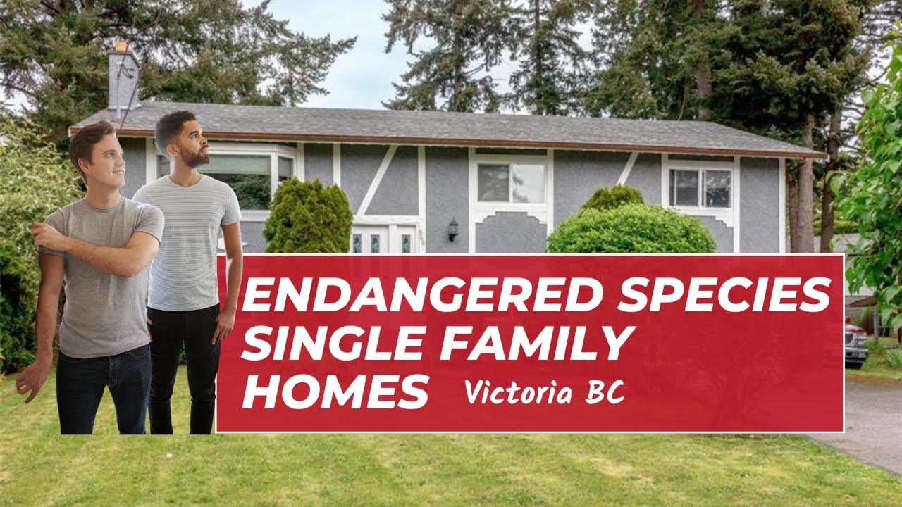 The Death of Single-Family Homes in Victoria, BC | 2025 Market Analysis
