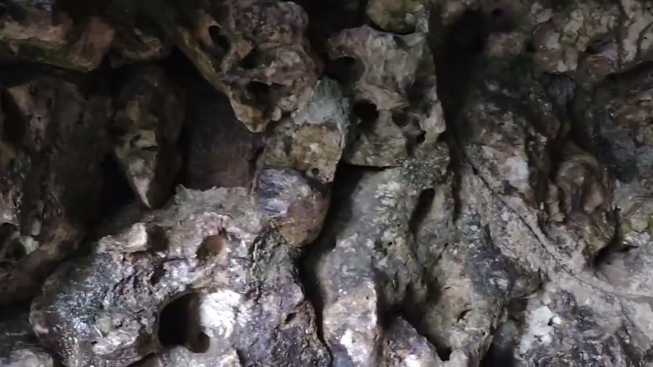 VID 20260121 155056856