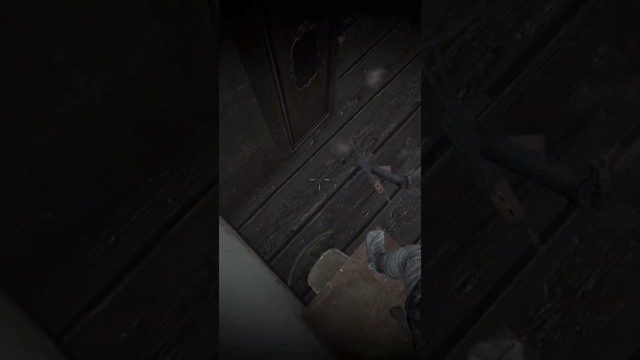 #dayzgamers #gaming #dayz1 #shootinggames #gameplay #dayzsa #games #dayzabase #firstpersonshooter
