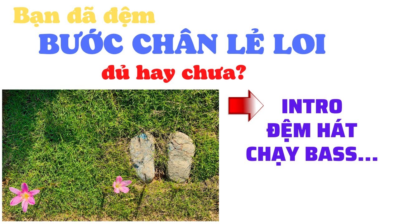 Hướng dẫn INTRO, CHẠY BASS, ĐỆM HÁT cơ bản đến nâng cao: Bước chân lẻ loi