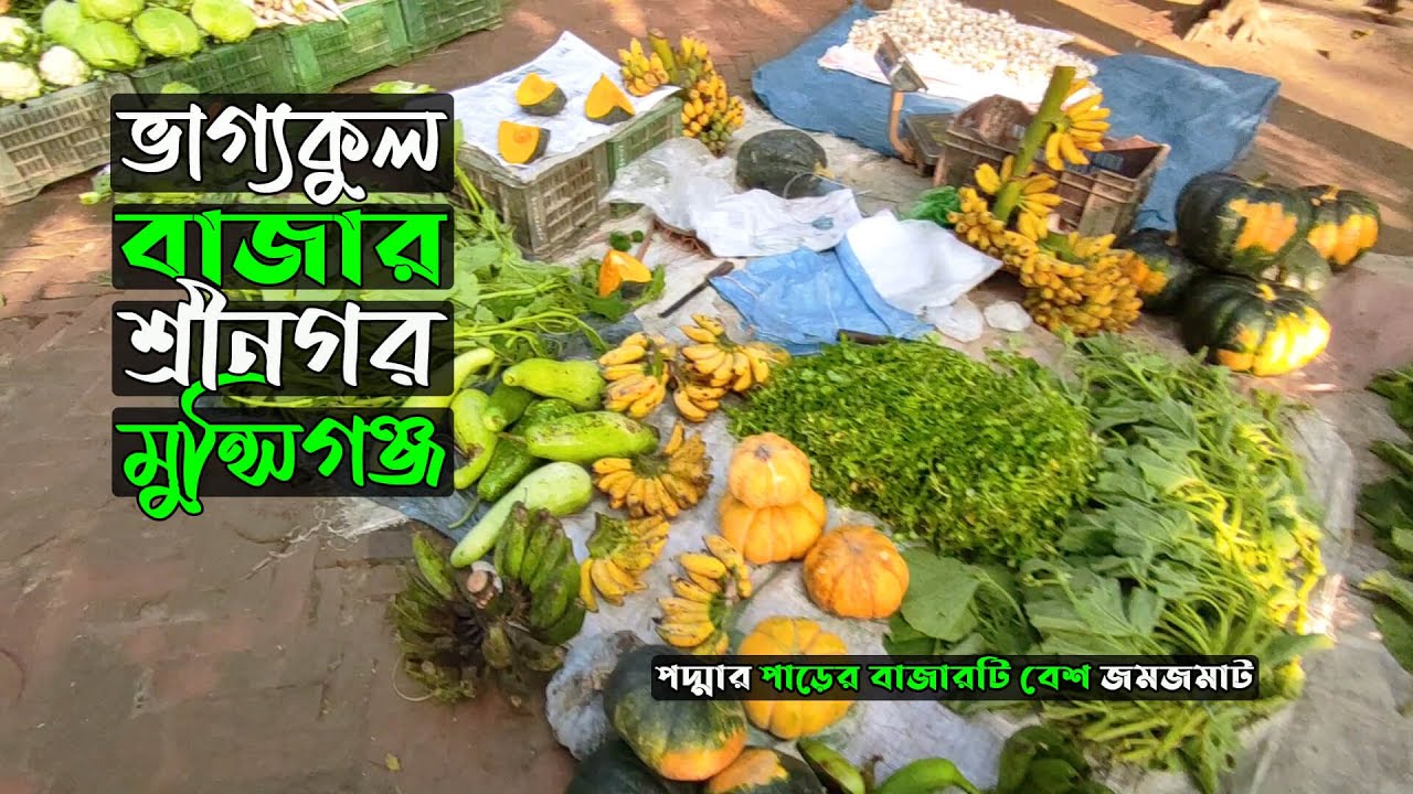 ভাগ্যকুল বাজার শ্রীনগর মুন্সিগঞ্জ | Bhagyakul Bazar Bangladeshi Village Market bd