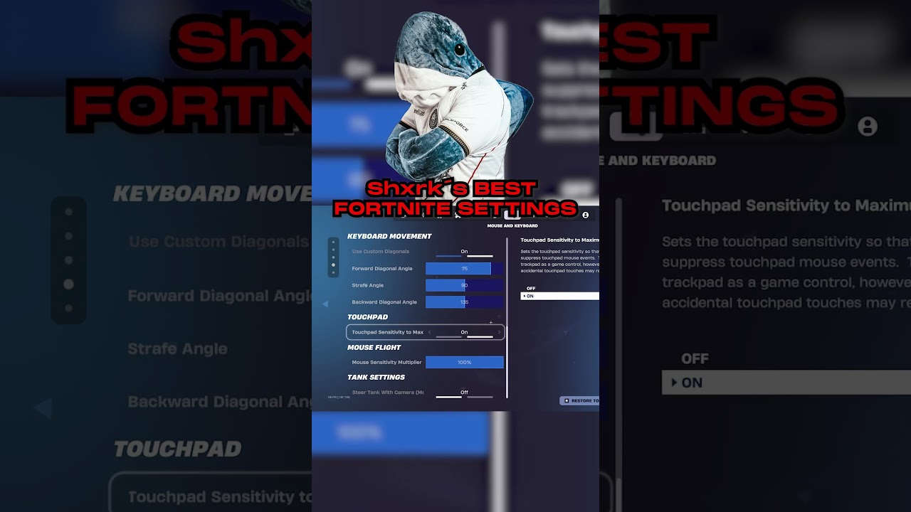 THE BEST FORTNITE SETTINGS 2025! 😳 (BIG Shxrk&acute;s Settings)