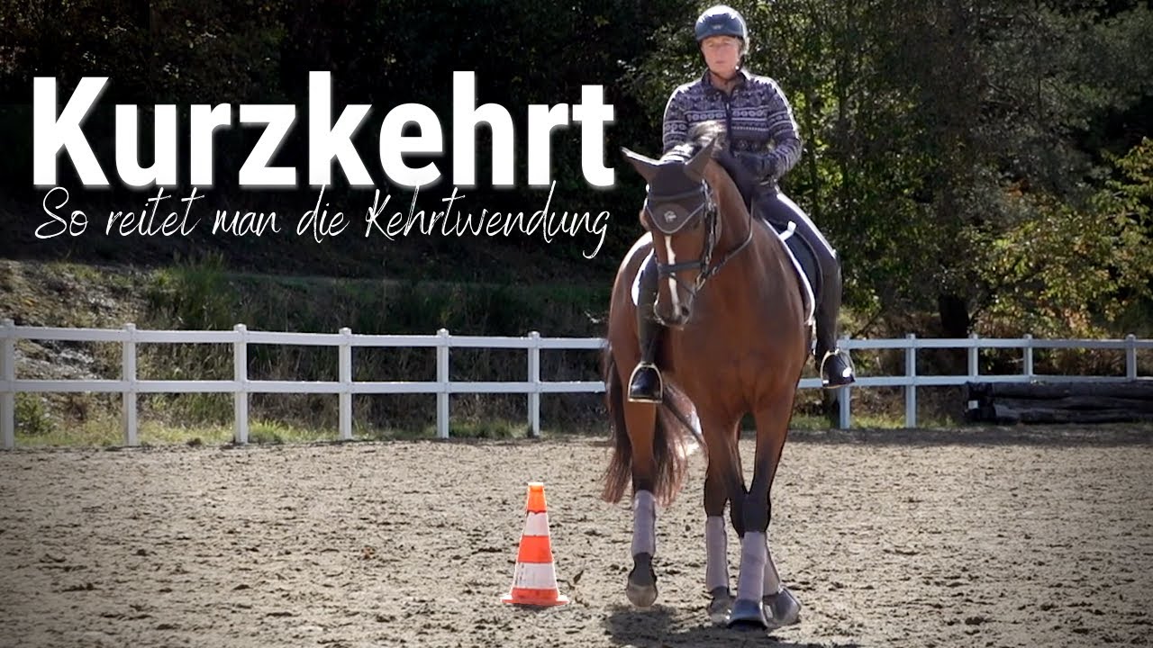 Die Kurzkehrt - Hilfengebung🤯 | Von Wenigen geliebt und doch so wichtig! 🐎