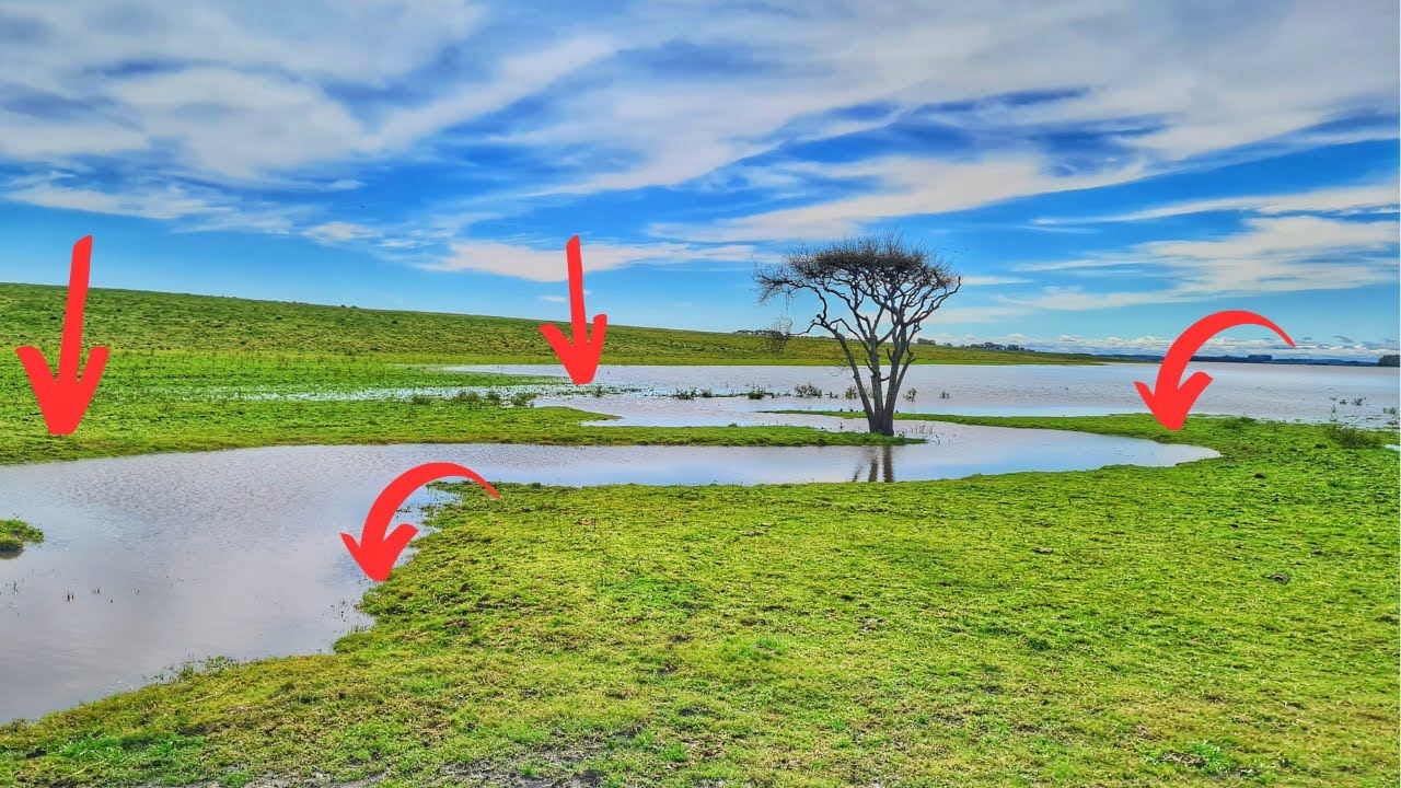 SERÁ QUE TEM TRAÍRA AQUI? pesca de traíra isca artificial