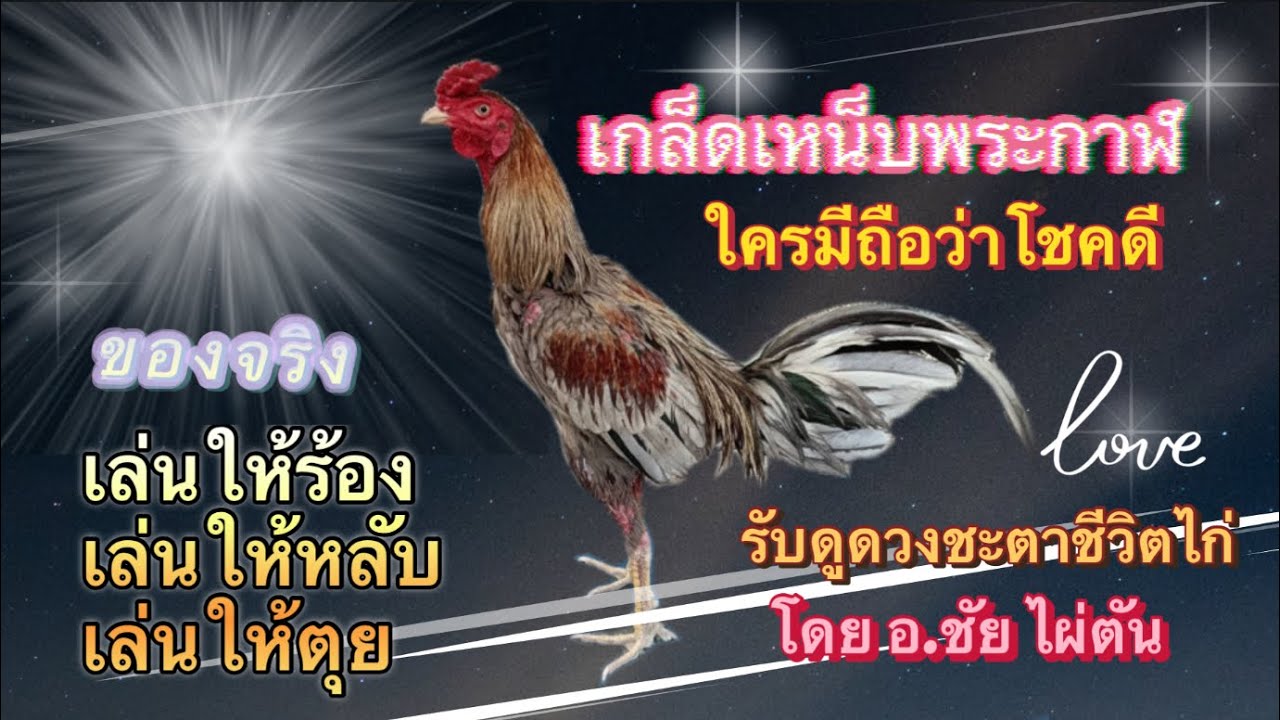 เกล็ดเหน็บพระกาฬ เล่นให้ร้อง ให้หลับ ให้ตุย