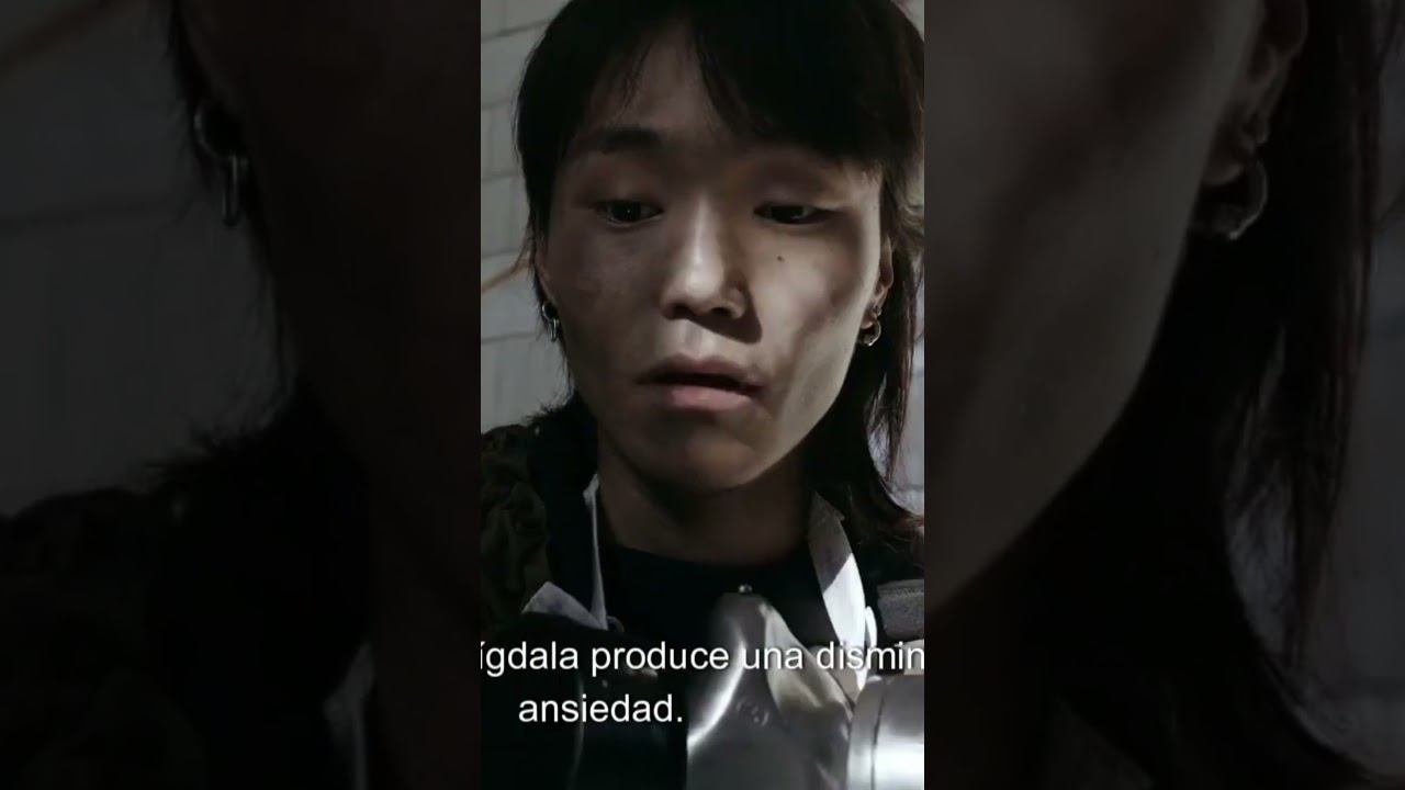 Descubre el papel clave del hipotálamo, la amígdala y el locus coeruleus en la ansiedad   Investigac