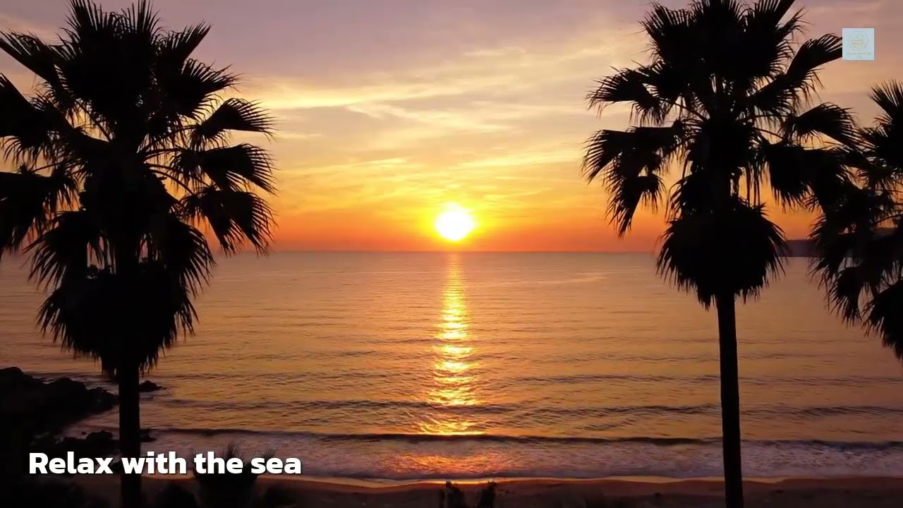 🎧 Music Relax Sea Night Piano – เสียงเปียโนใต้แสงจันทร์ริมทะเล