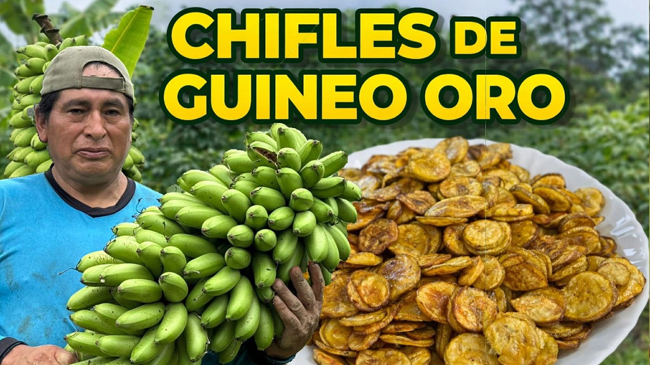 Asi hacemos los Chifles de GUINEO ORO bien crocantes