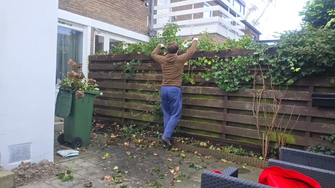 Removing the fence