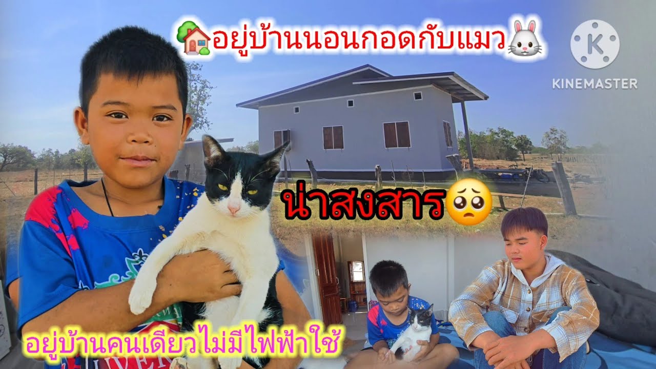 น่าสงสารน้องสายฟ้า🥺11 กุมภาพันธ์ ค.ศ. 2026