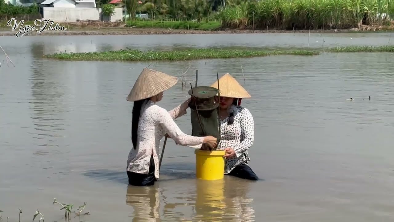 Trưa Nắng Hai Chị Em Đi Thăm Lợp Tép Được Cái Ông Trời Thương Trúng Đậm toàn Tép Bự#viral 