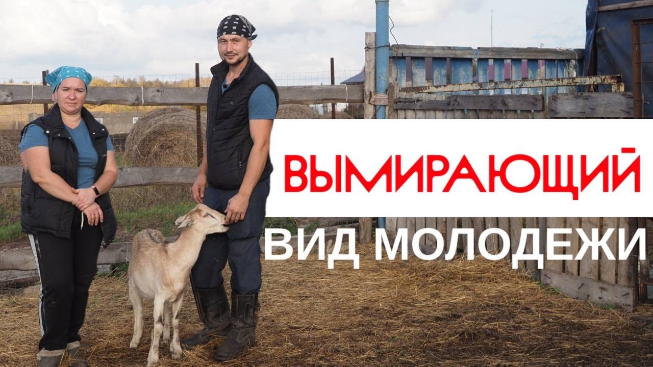 Уникальный сарай для коз из соломы и глины или Как живёт многодетная семья в деревне